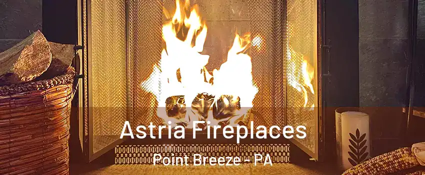 Astria Fireplaces Point Breeze - PA