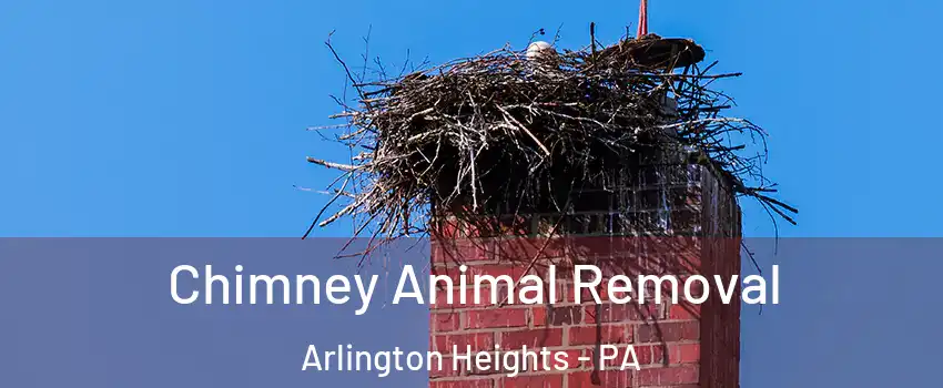 Chimney Animal Removal Arlington Heights - PA