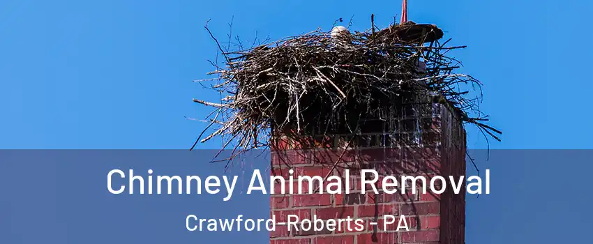 Chimney Animal Removal Crawford-Roberts - PA