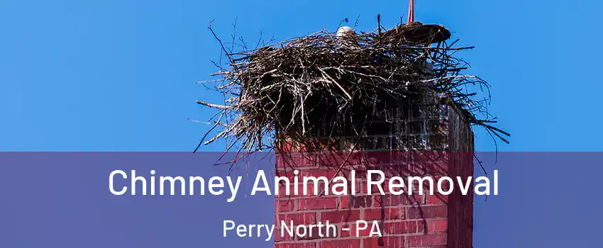 Chimney Animal Removal Perry North - PA