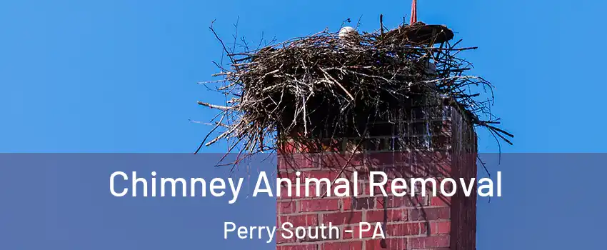 Chimney Animal Removal Perry South - PA