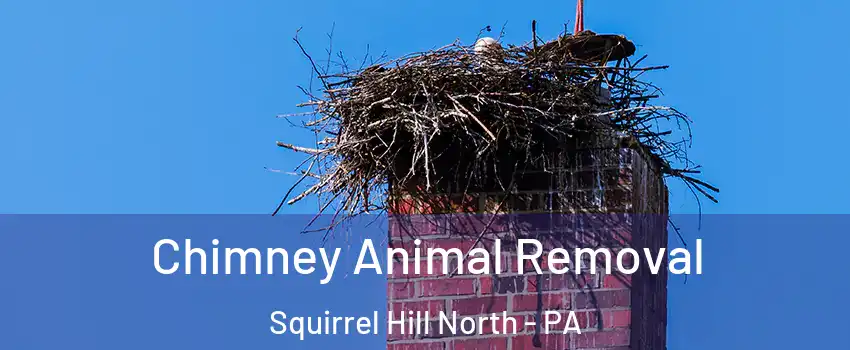 Chimney Animal Removal Squirrel Hill North - PA