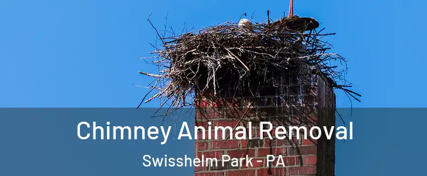 Chimney Animal Removal Swisshelm Park - PA