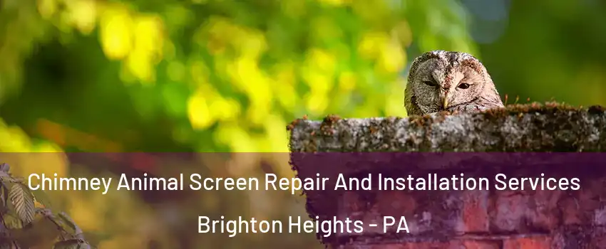 Chimney Animal Screen Repair And Installation Services Brighton Heights - PA