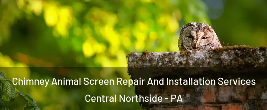 Chimney Animal Screen Repair And Installation Services Central Northside - PA