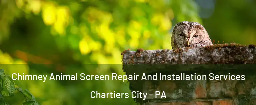 Chimney Animal Screen Repair And Installation Services Chartiers City - PA