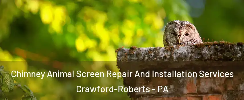 Chimney Animal Screen Repair And Installation Services Crawford-Roberts - PA