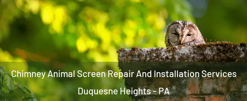 Chimney Animal Screen Repair And Installation Services Duquesne Heights - PA