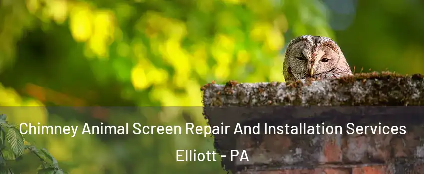 Chimney Animal Screen Repair And Installation Services Elliott - PA