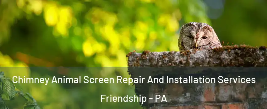 Chimney Animal Screen Repair And Installation Services Friendship - PA