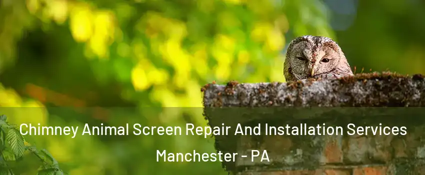 Chimney Animal Screen Repair And Installation Services Manchester - PA