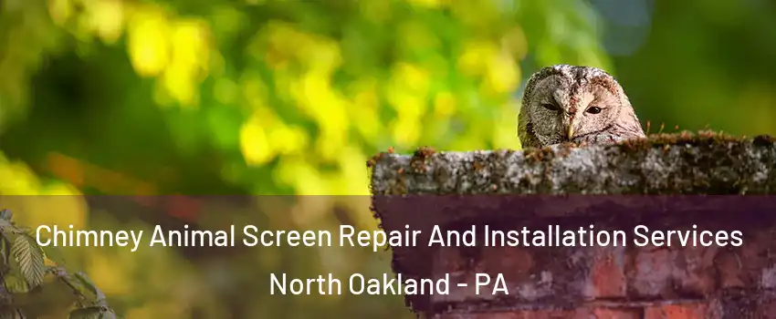 Chimney Animal Screen Repair And Installation Services North Oakland - PA