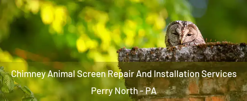 Chimney Animal Screen Repair And Installation Services Perry North - PA