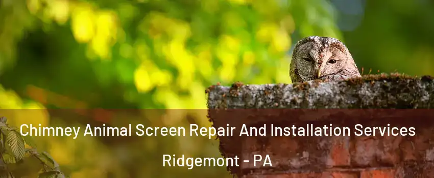 Chimney Animal Screen Repair And Installation Services Ridgemont - PA