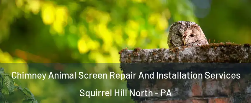 Chimney Animal Screen Repair And Installation Services Squirrel Hill North - PA