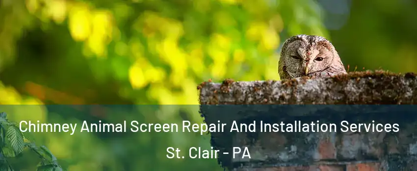 Chimney Animal Screen Repair And Installation Services St. Clair - PA