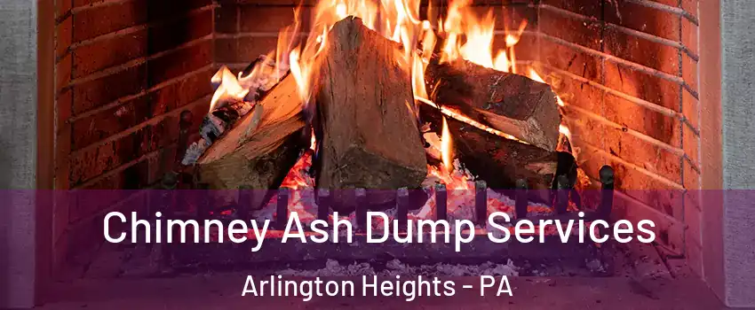 Chimney Ash Dump Services Arlington Heights - PA