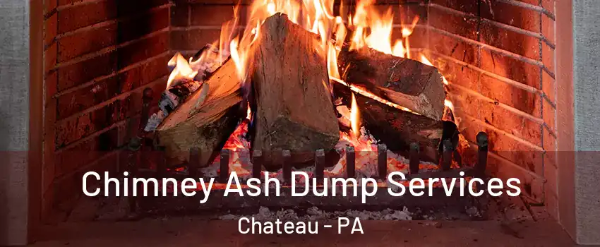 Chimney Ash Dump Services Chateau - PA