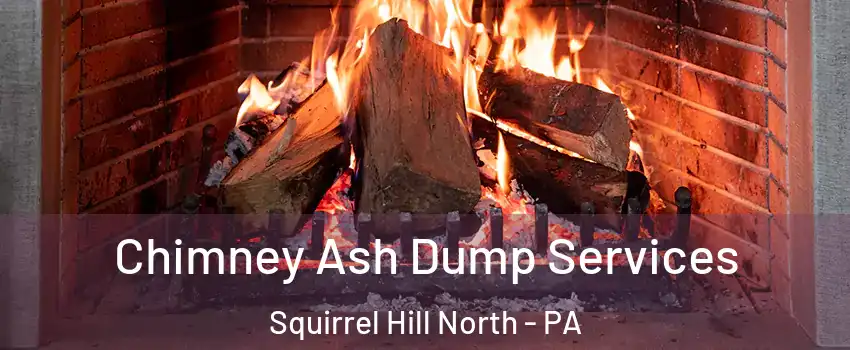 Chimney Ash Dump Services Squirrel Hill North - PA