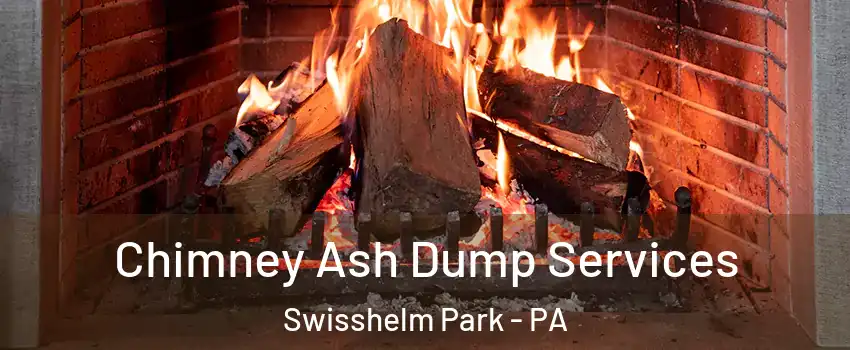 Chimney Ash Dump Services Swisshelm Park - PA