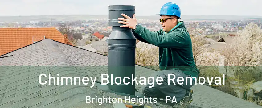 Chimney Blockage Removal Brighton Heights - PA