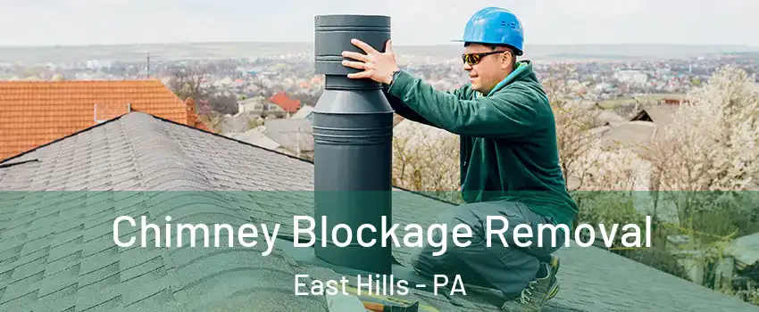 Chimney Blockage Removal East Hills - PA