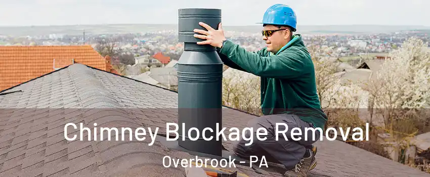 Chimney Blockage Removal Overbrook - PA