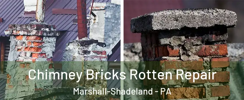 Chimney Bricks Rotten Repair Marshall-Shadeland - PA