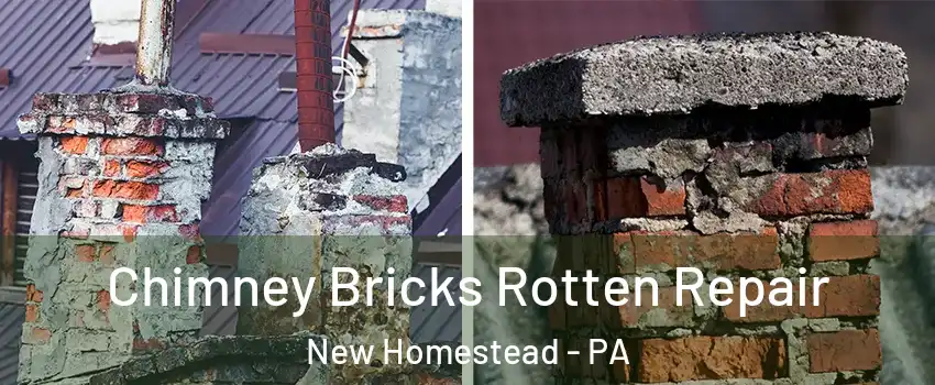 Chimney Bricks Rotten Repair New Homestead - PA