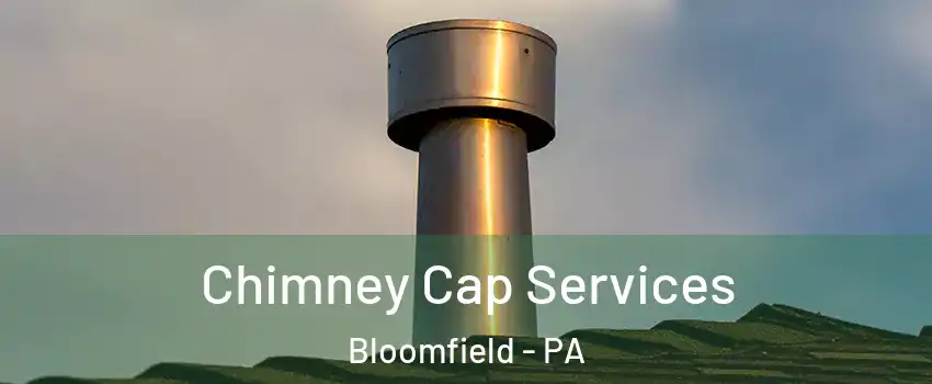 Chimney Cap Services Bloomfield - PA