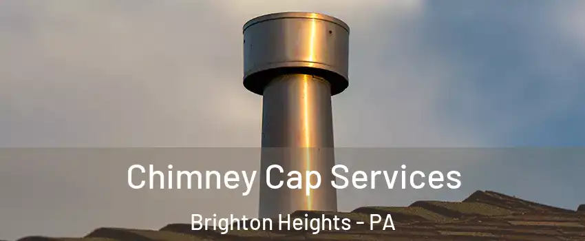 Chimney Cap Services Brighton Heights - PA