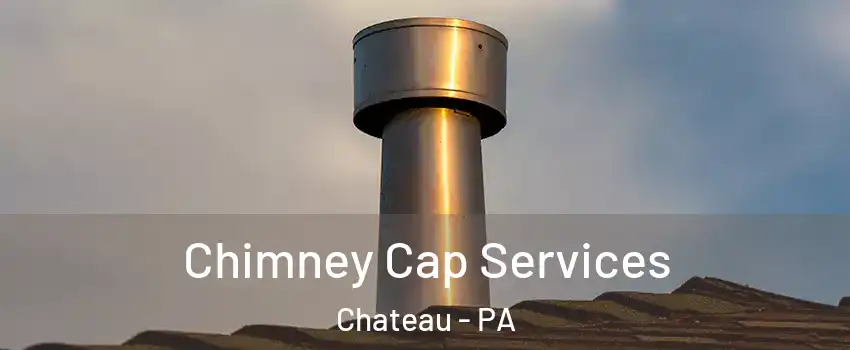 Chimney Cap Services Chateau - PA