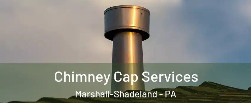 Chimney Cap Services Marshall-Shadeland - PA