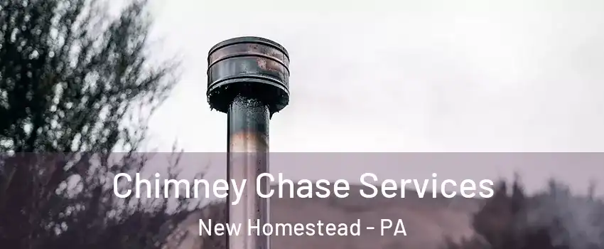 Chimney Chase Services New Homestead - PA