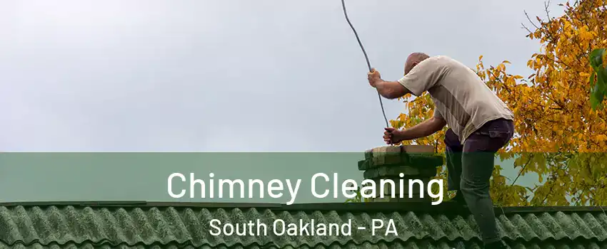 Chimney Cleaning South Oakland - PA