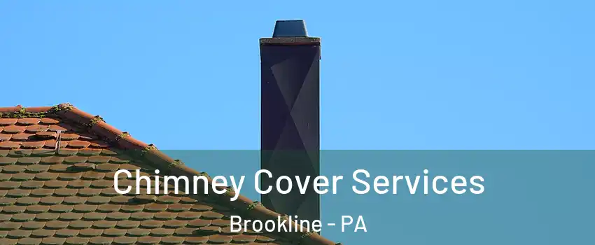 Chimney Cover Services Brookline - PA