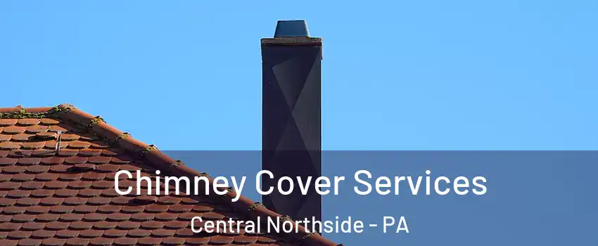 Chimney Cover Services Central Northside - PA