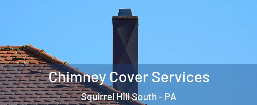 Chimney Cover Services Squirrel Hill South - PA