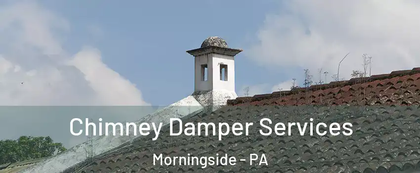 Chimney Damper Services Morningside - PA