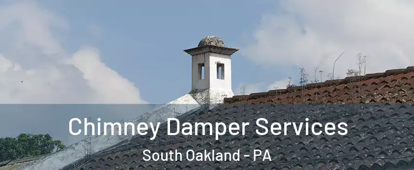 Chimney Damper Services South Oakland - PA