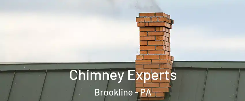 Chimney Experts Brookline - PA