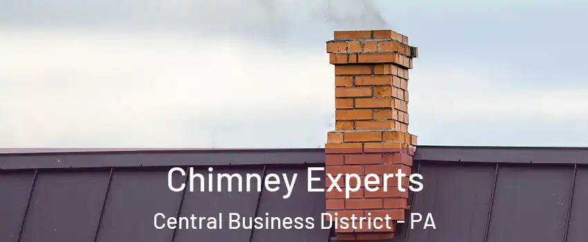 Chimney Experts Central Business District - PA