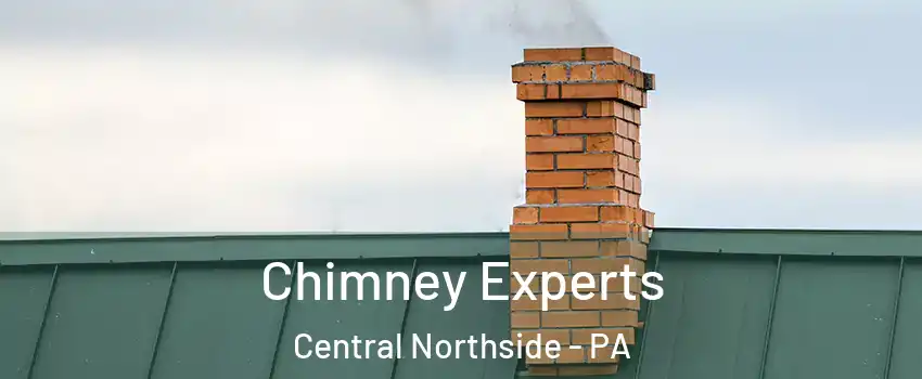 Chimney Experts Central Northside - PA