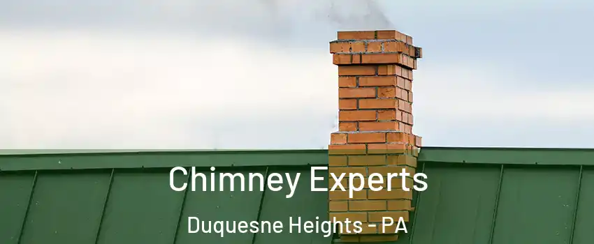 Chimney Experts Duquesne Heights - PA