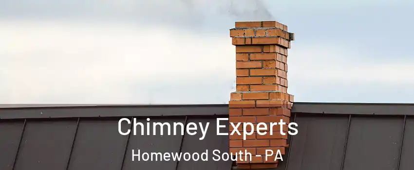 Chimney Experts Homewood South - PA