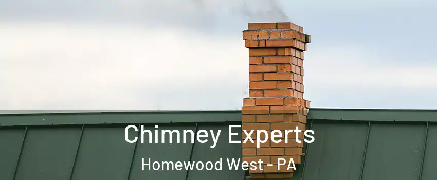 Chimney Experts Homewood West - PA