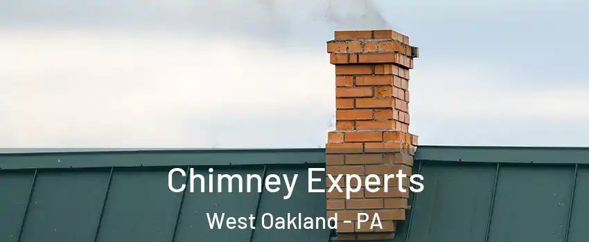 Chimney Experts West Oakland - PA