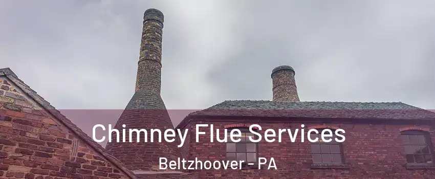 Chimney Flue Services Beltzhoover - PA