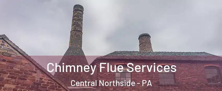 Chimney Flue Services Central Northside - PA