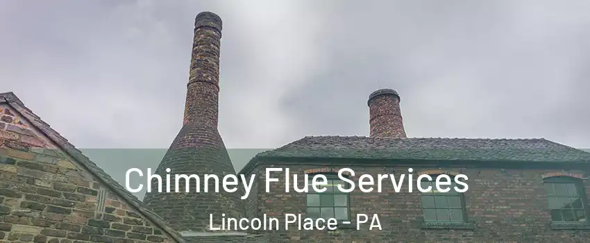 Chimney Flue Services Lincoln Place - PA